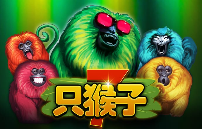 bob最新版本下载